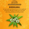 Lever Ayush Anti Hairfall Bhringaraj Shampoo-330ml