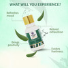 Ayouthveda Eucalyptus Essential Oil For Aromatherapy To Refresh Mind & Rejuvenate Senses 15 Gm
