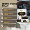 Pure Nutrition Shilajit Gold Resin - Contains 24 Carat Gold Dust (Swarna Bhasm|With Certificate) 20g