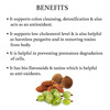 Bixa Botanical Triphala Powder(Haritaki | Bibhitaki & Amla)-Support Healthy Digestion(200g)