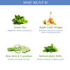 The Moms Co. Natural Green Tea Face Toner (100 Ml)