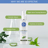 The Moms Co. Natural Green Tea Face Toner (100 Ml)