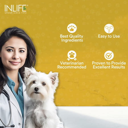Inlife Glucosamine Tablets For Dogs & Cats | With Msm Calcium & Vitamin D3 - 60 Tablets