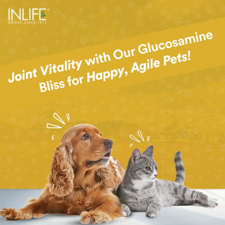 Inlife Glucosamine Tablets For Dogs & Cats | With Msm Calcium & Vitamin D3 - 60 Tablets
