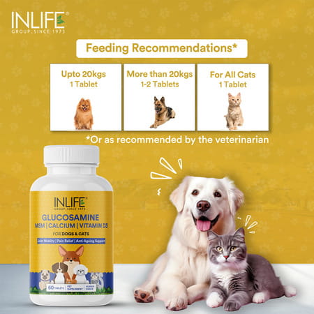 Inlife Glucosamine Tablets For Dogs & Cats | With Msm Calcium & Vitamin D3 - 60 Tablets