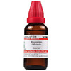 Dr. Willmar Schwabe India Rosmarinus Officinalis Dilution 200 Ch 30 Ml
