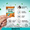Kwik Mint Bursts Mouth Freshener - Pack Of 3