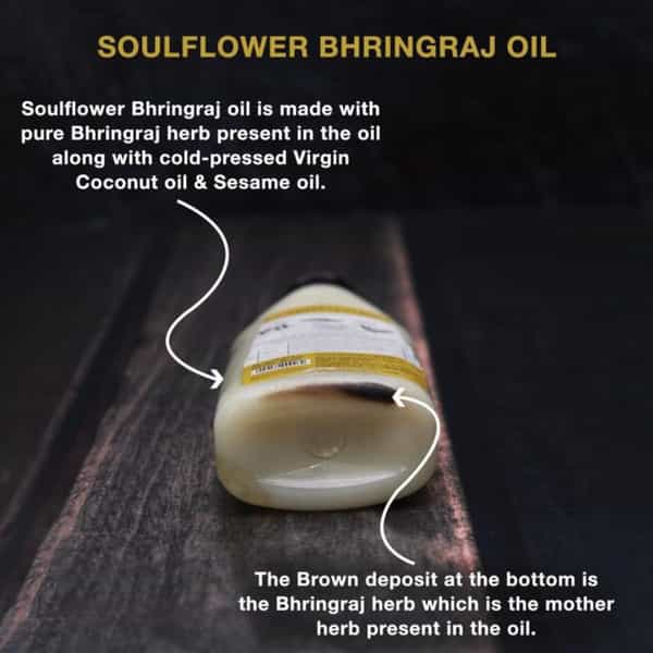 Soulflower Bhringraj Carrier Oil & Coconut Carrier Oil 225Ml (Set Of 2)