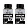 Earth King Raw Shilajit/Shilajeet Extract Capsule - 500 Mg 120 Capsules (Pack Of 2)