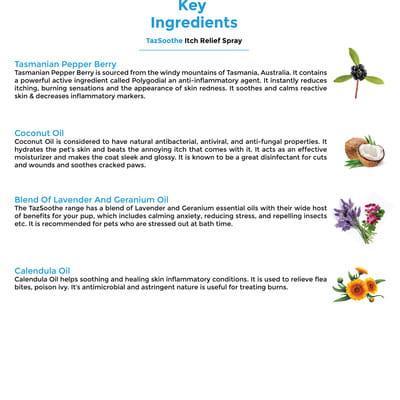 View product image 4