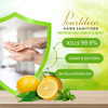Pearldew Sanitizer (Lemon & Mint) | Aloe & Neem | Paraben Free | 60ml (Pack Of 12)