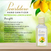 Pearldew Sanitizer (Lemon & Mint) | Aloe & Neem | Paraben Free | 60ml (Pack Of 12)