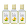 Pearldew Sanitizer (Lemon & Mint) | Aloe & Neem | Paraben Free | 60ml (Pack Of 12)