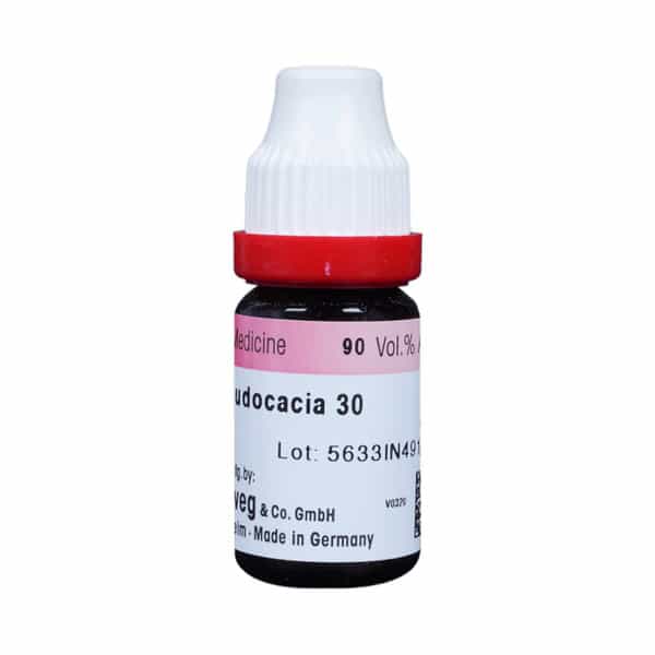 Dr. Reckeweg Robinia Pseudacacia 30 Ch (11Ml)