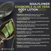 Soulflower Chamomile Aloe Vera Body Lotion With Vitamin C Hyaluronic Acid Bamboo Extracts 250Ml