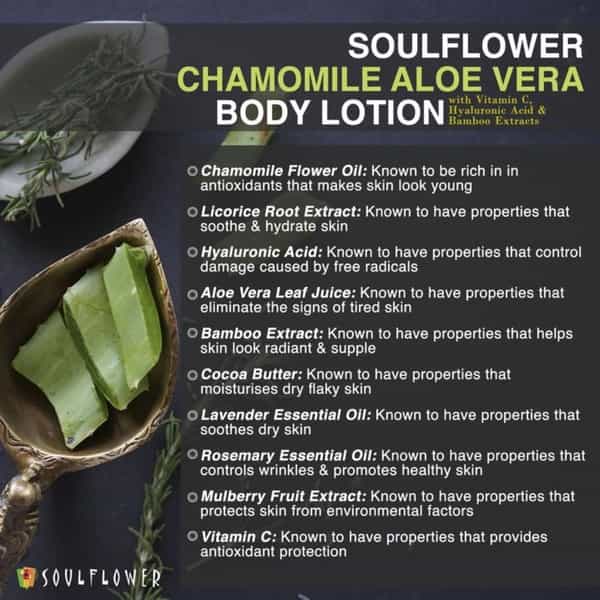 Soulflower Chamomile Aloe Vera Body Lotion With Vitamin C Hyaluronic Acid Bamboo Extracts 250Ml