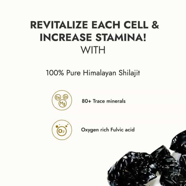 Kapiva Himalayan Shilajit / Shilajeet Resin 10G