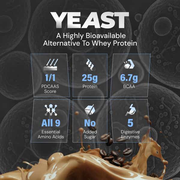 Nutrabay Yeast Protein Powder Cold Coffee 25G Protein & 6.7G Bcaa Per Scoop Jar 2 Kg