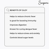 Sangsara Giloy (1X60) Capsules