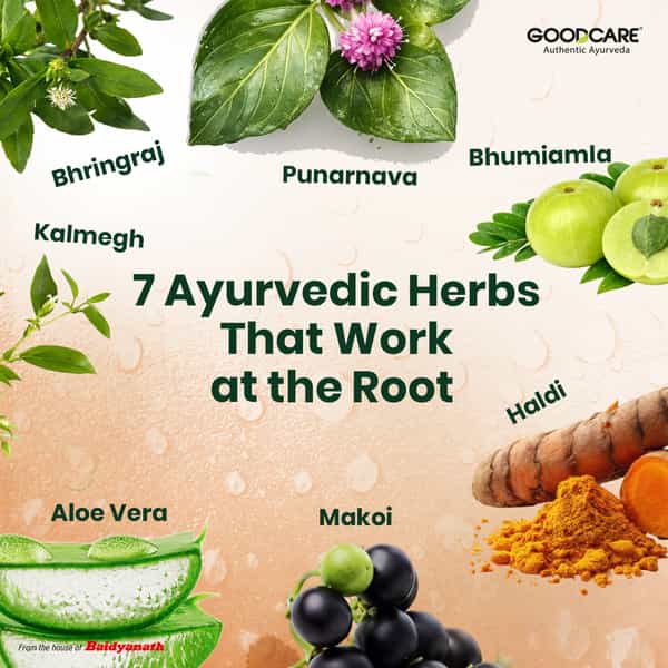 Goodcare Livgood Liver Care Juice 1000Ml | 7 Herbs | Detox | Digestion & Metabolism Support