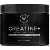 Wellbeing Nutrition 100% Pure Micronised Creatine Powder | Unflavoured 100g | 33 Servings