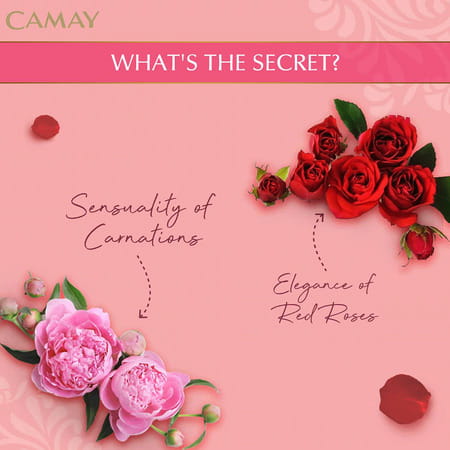 Camay Classic Carnations & Roses Beauty Soap With Indulging French Fragrance | 125G