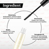 Tnw The Natural Wash Lash & Brow Growth Oil | Biotin & Rosemary For Fuller Hair 12 Ml