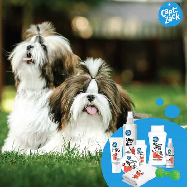 Captain Zack-The Shihtzu Groom Box-Ultimate 8 In 1 Head To Paw Groom-Kit For Your Dog.