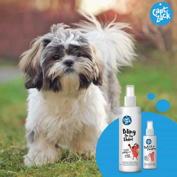 Captain Zack-The Shihtzu Groom Box-Ultimate 8 In 1 Head To Paw Groom-Kit For Your Dog.