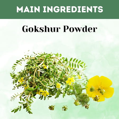 Ved Tattva Gokshur Powder - 1 Kg (Pack Of 5)