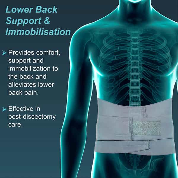 Oac Lumbo Sacral Belt - Grey - Xl - 1 Unit