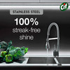 Cif Perfect Finish Stainless Steel Spray 100% Streak Free Shine Imported 435 Ml