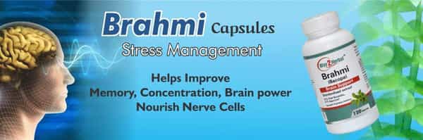 Way2herbal Brahmi Capsules Brain Support - 120 Capsules
