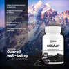 Shilajit 1000mg Capsules For Men & Women Vitality 60 Capsules
