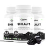 Shilajit 1000mg Capsules For Men & Women Vitality 60 Capsules