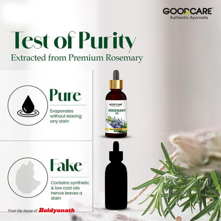 Goodcare Rosemary Essential Oil | Men Women | Hair Care | 15 Ml | Pack Of 1