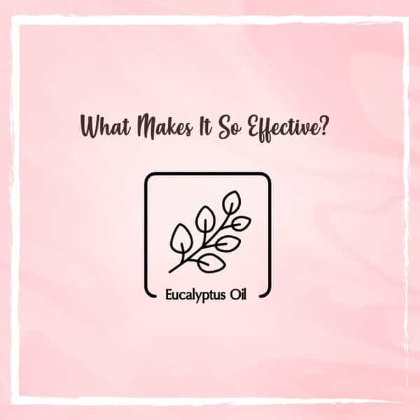 The Beauty Co. Eucalyptus Essential Oil - 15Ml