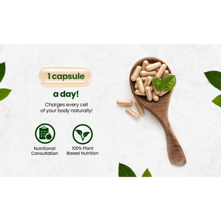 Vlado'S Himalayan Organics Plant-Based Vitamin B3 -120 Capsules