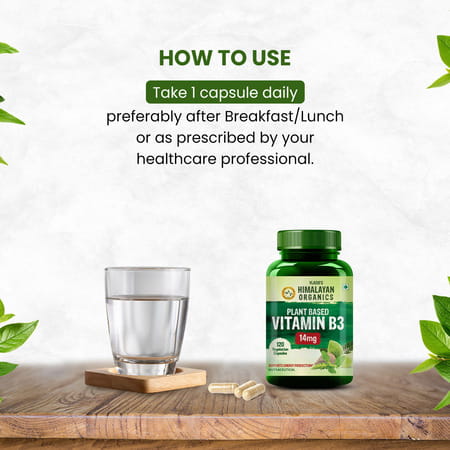 Vlado'S Himalayan Organics Plant-Based Vitamin B3 -120 Capsules