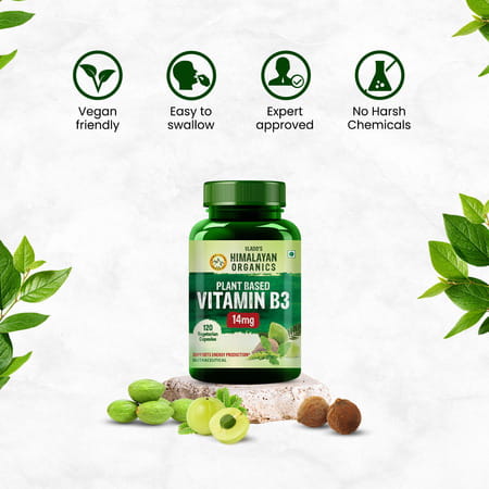 Vlado'S Himalayan Organics Plant-Based Vitamin B3 -120 Capsules