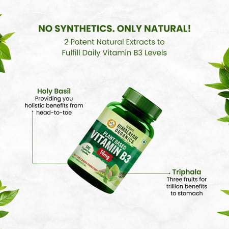 Vlado'S Himalayan Organics Plant-Based Vitamin B3 -120 Capsules