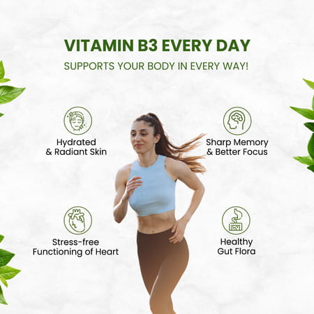 Vlado'S Himalayan Organics Plant-Based Vitamin B3 -120 Capsules