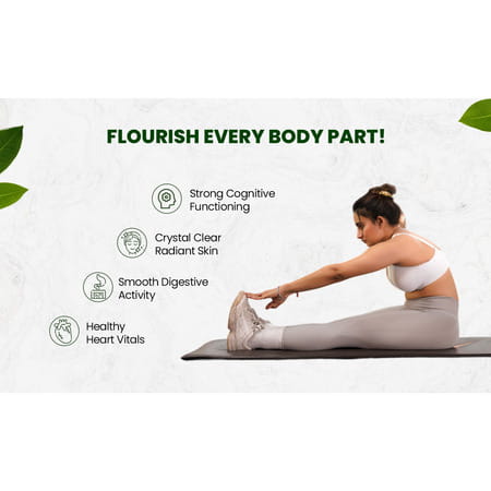 Vlado'S Himalayan Organics Plant-Based Vitamin B3 -120 Capsules