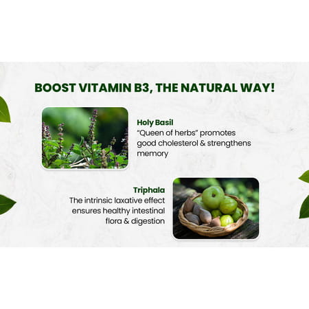 Vlado'S Himalayan Organics Plant-Based Vitamin B3 -120 Capsules