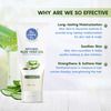 The Moms Co. Natural Aloe Vera Gel 200 Gm
