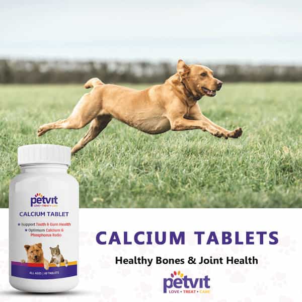 Petvit Calcium For Dog And Cat For Stronger Bones Teeth-Growth In Pet For All Age Group 60Tablets