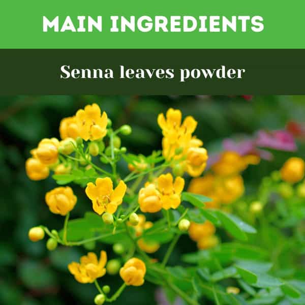 Herbal Hills Senna Powder - 1 Kg Powder - Pack Of 4