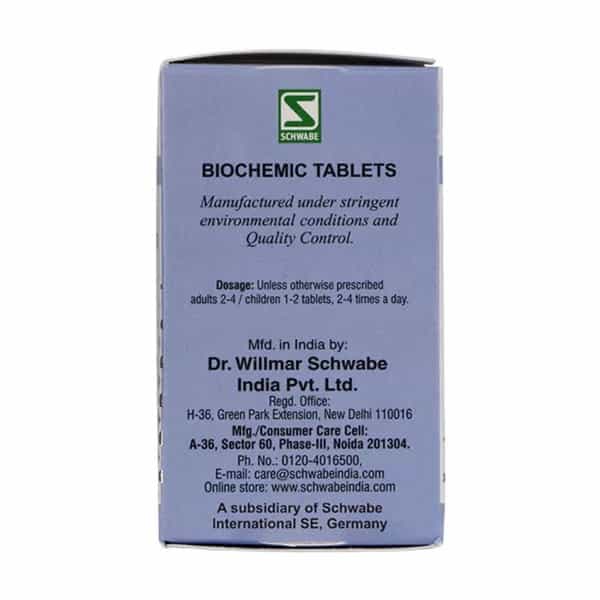 Dr. Willmar Schwabe Calcarea Phosphorica 6X Tablet 25 Gm