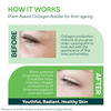 Oziva Plant Based Collagen Builder Classic Pack Of 2 Glowing Skin