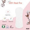 Plush Daily Ultra Thin Panty Liners For Women 40 Liners-150Mm In Length